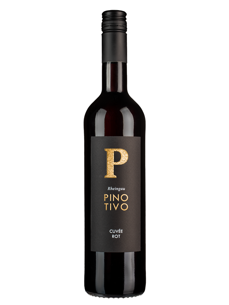 2021 PINOTIVO Rotwein Cuvée Qualitätswein - feinherb 