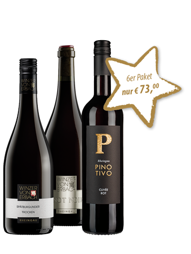 6 Flaschen »Winter Rotweinpaket« 