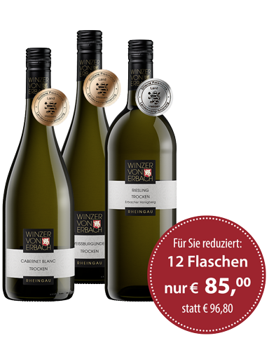 12 Flaschen »Starterpaket trocken« 