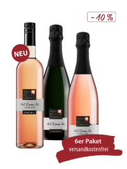 6er Paket »Alkoholfreier Sommergenuss« 